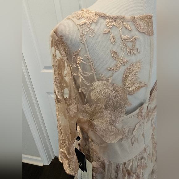 Adrianna Papell Size 12 Blush gold mesh embroidered short illusion dress New Tag - Picture 9 of 14